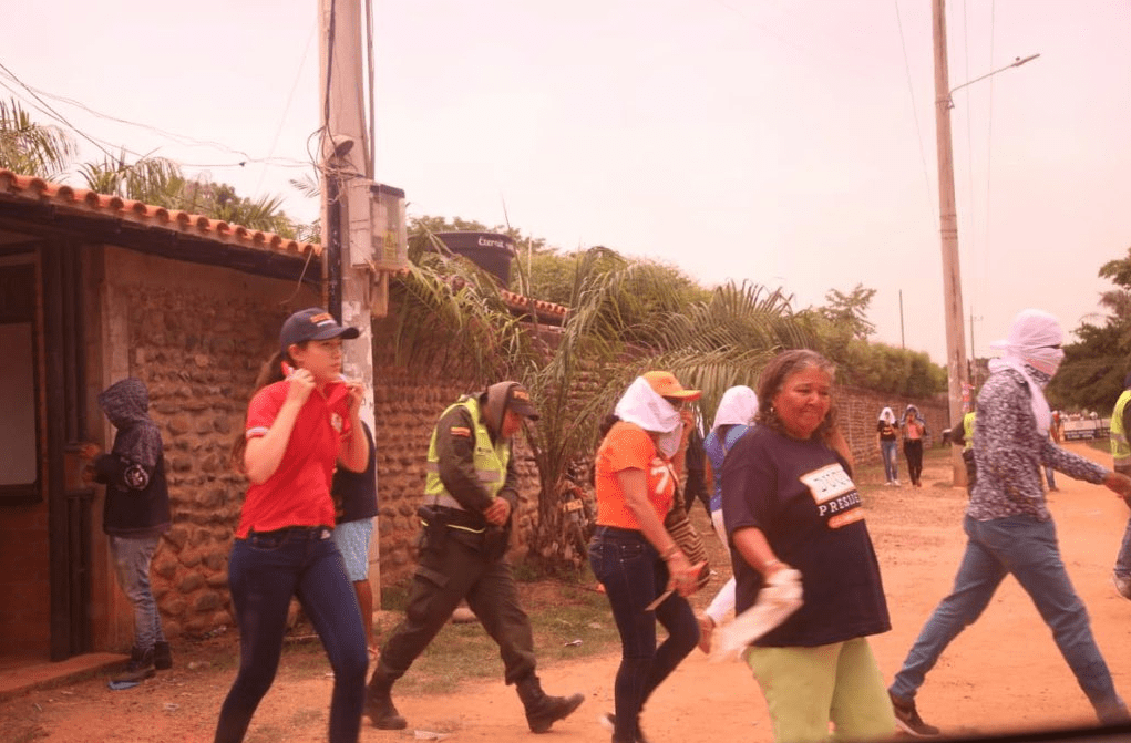 Petristas habrían liberado abejas africanas en concentración política  de Álvaro Uribe en La Loma Cesar