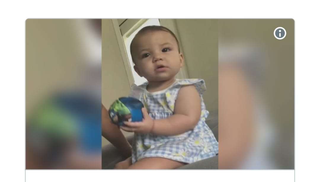 Enfurecido pitbull mató  bebé de 8 meses