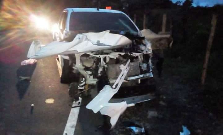 Aparatoso accidente de tránsito en la vía Montería – Tierralta dejó tres vacas muertas