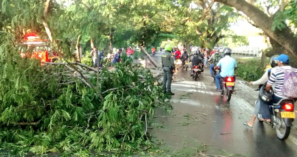 Identifican a joven que murió en accidente en la vía Cereté – Montería