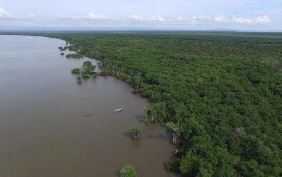 Líderes de restitución de tierras en Urabá denuncian amenazas de muerte en su contra