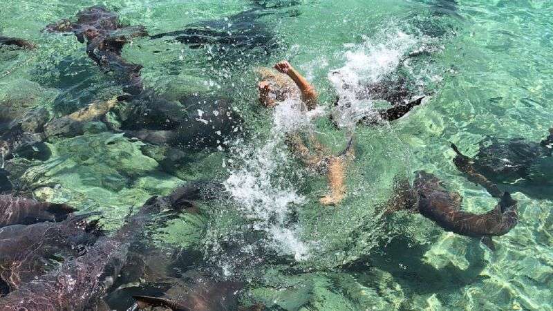 Modelo estadounidense fue atacada por tiburones mientras posaba para una foto