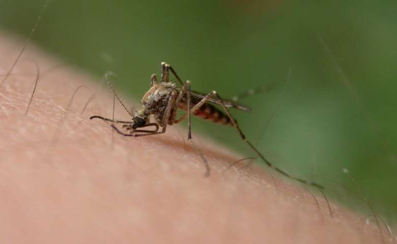 Córdoba en la lista de los departamentos con más dengue de Colombia
