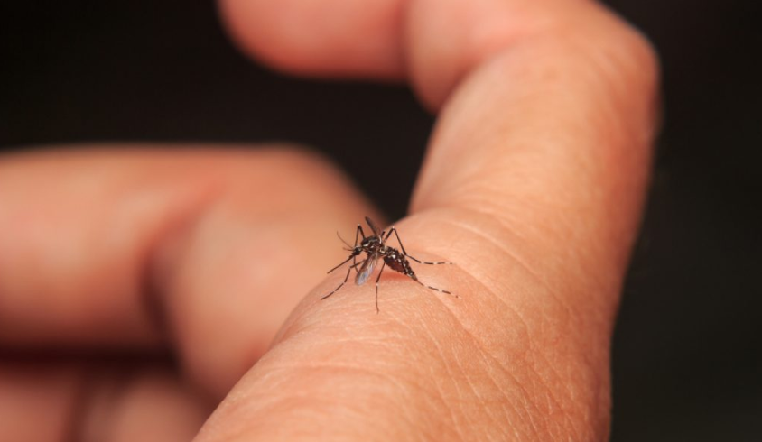 ¡Epidemia mortal! Niño murió por dengue en Montería