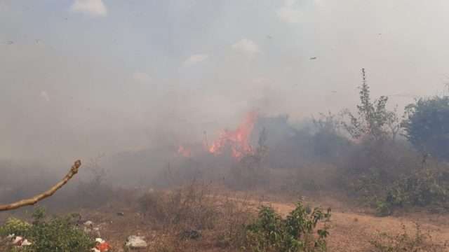 Incendio forestal arrasó con más de 18 hectáreas de bosques en Sahagún