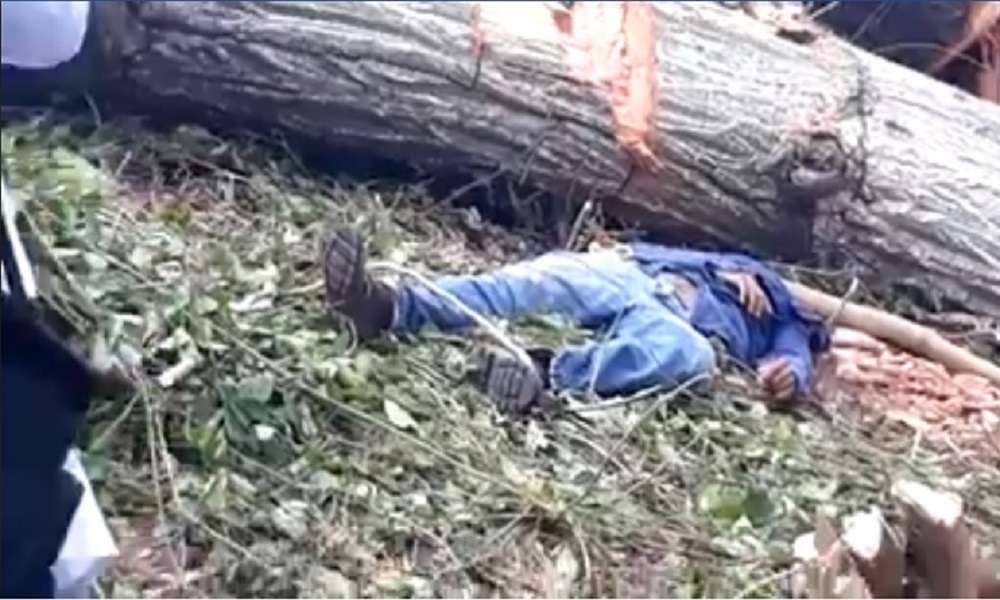 Jorge Luis murió luego de que un árbol le cayera en la cabeza