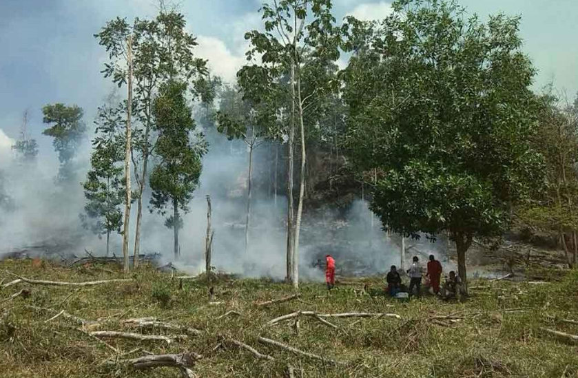 Incendio forestal en Sahagún consumió 40 hectáreas de cobertura vegetal