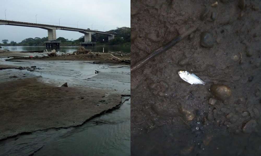 Devastador efecto ambiental tras cierre de compuerta en Hidroituango