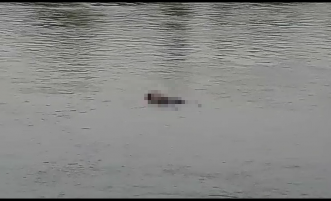 Hallan cadáver de una mujer en aguas del río Cauca