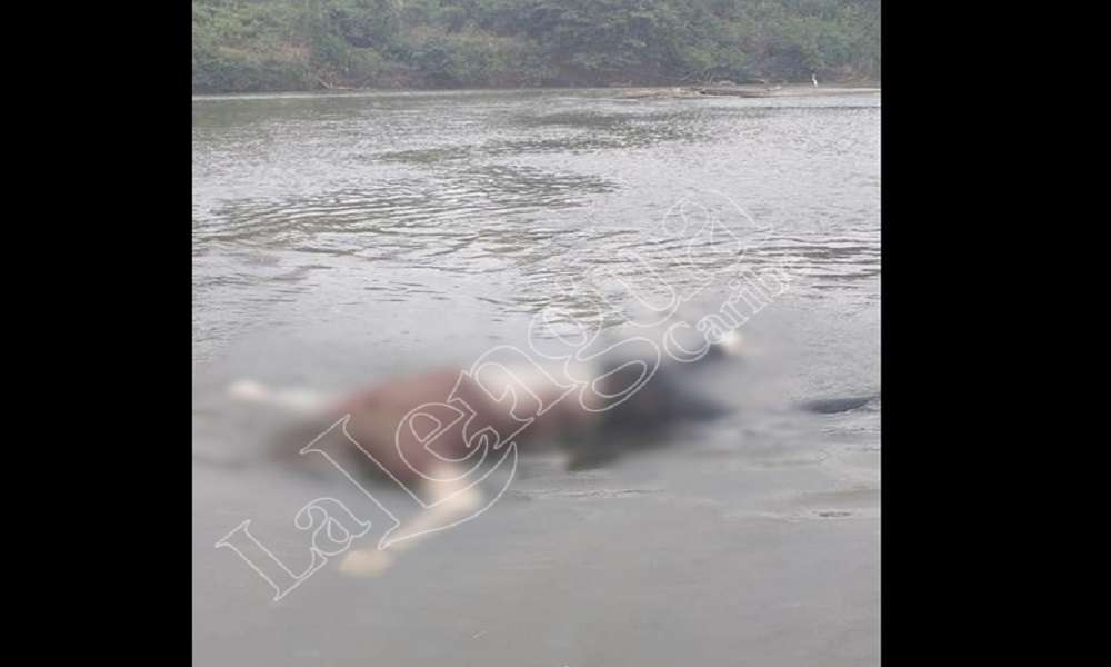 Hallan cadáver de un hombre en aguas del río San Jorge en Montelíbano
