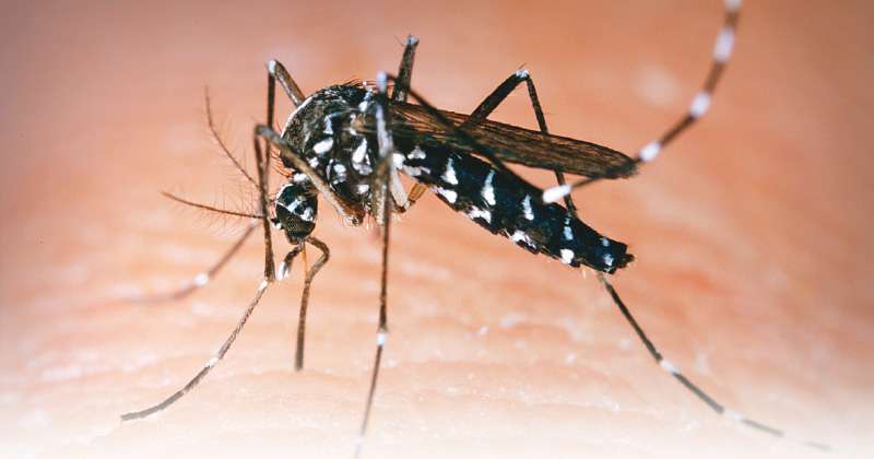 Córdoba entre los departamentos con más casos de dengue reportados en Colombia