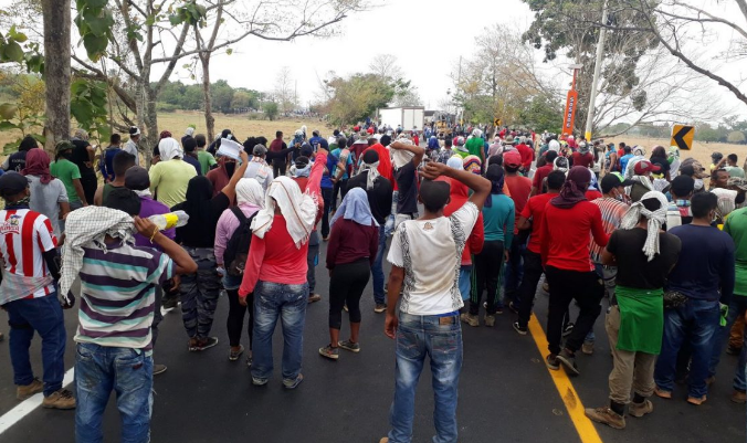 Se mantienen protestas de campesinos por incumplimiento en acuerdo de cultivos ilícitos