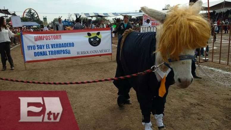 Más de 3.000 turistas han llegado a San Antero para disfrutar del Festival del Burro