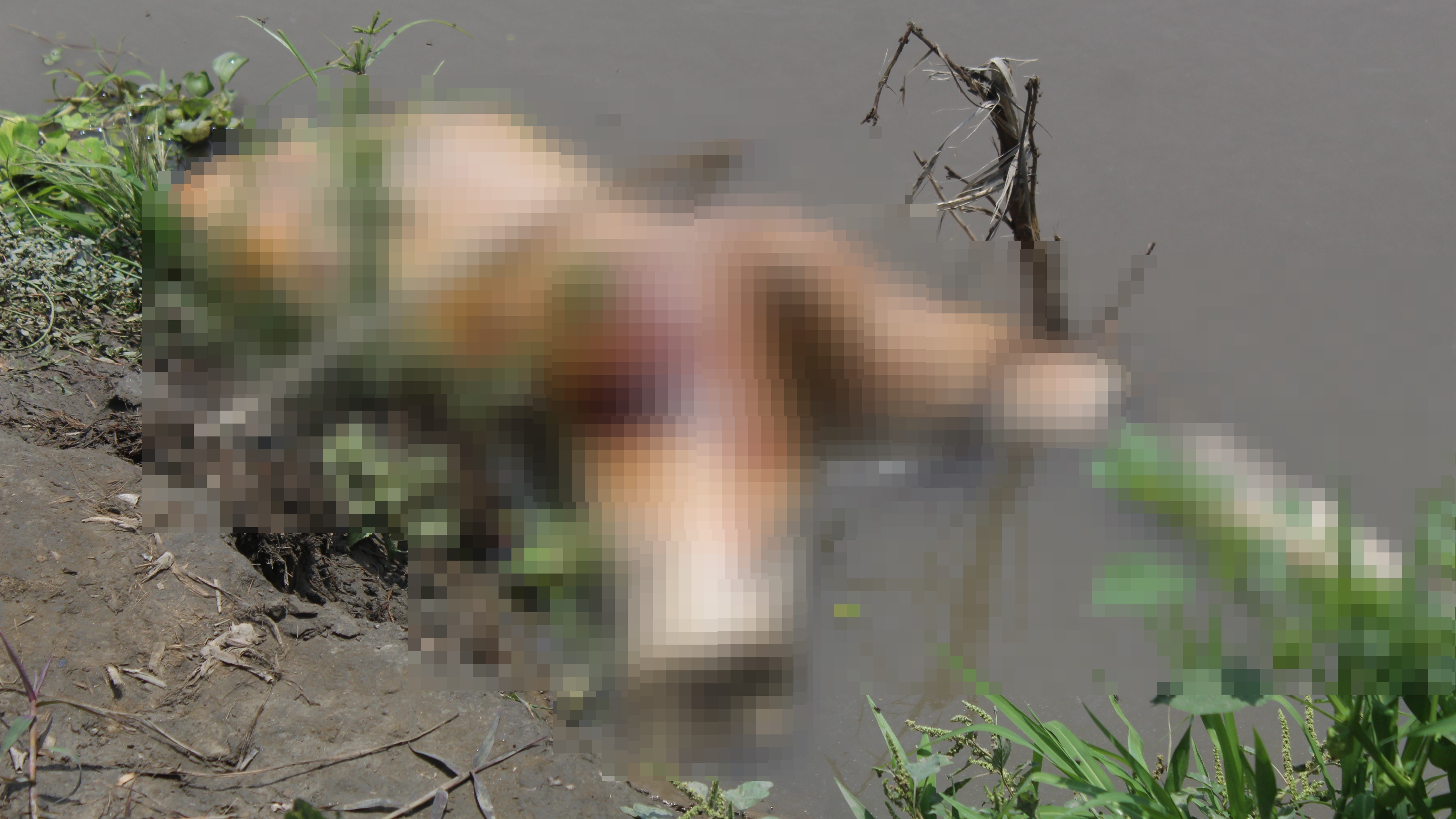 Macabro: hombre habría sido torturado, desmembrado y lanzado al río