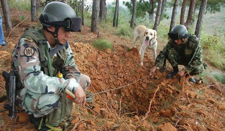 Cinco militares resultaron heridos tras caer a un campo minado en Antioquia