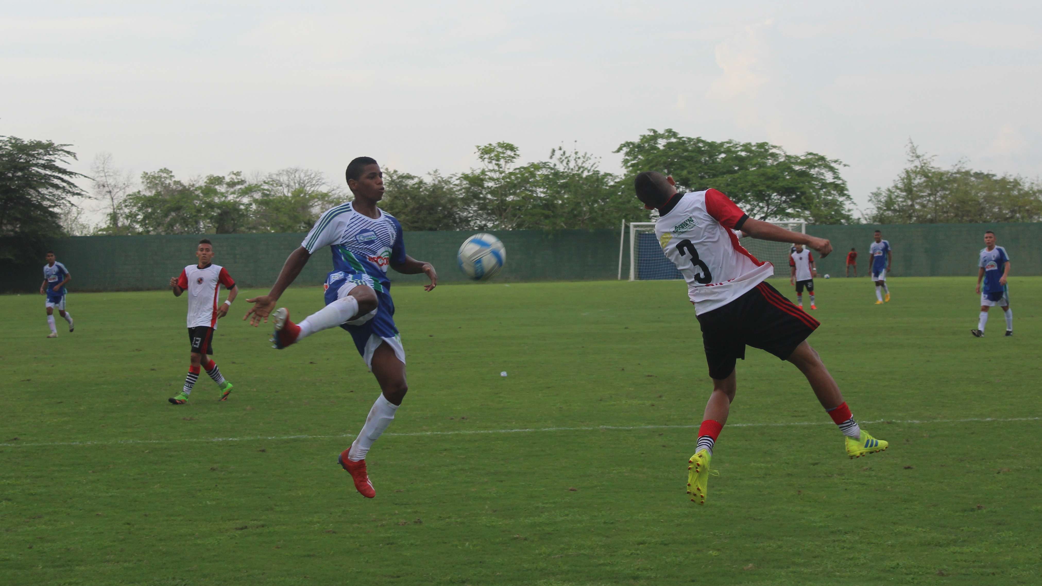 Conozca el calendario de la fase final del Torneo Nacional Prejuvenil