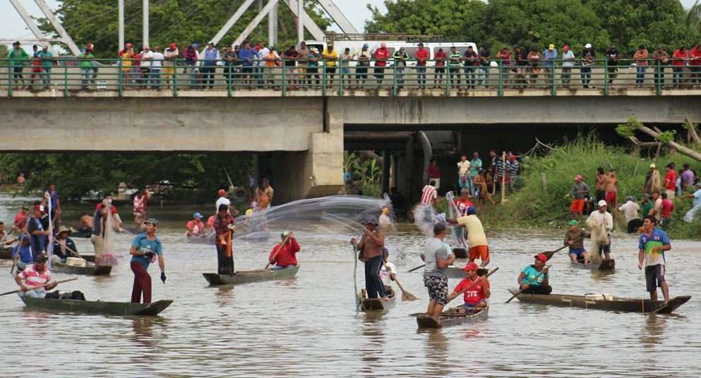 Pescadores aprovecharon subienda de bocachicos en Lorica