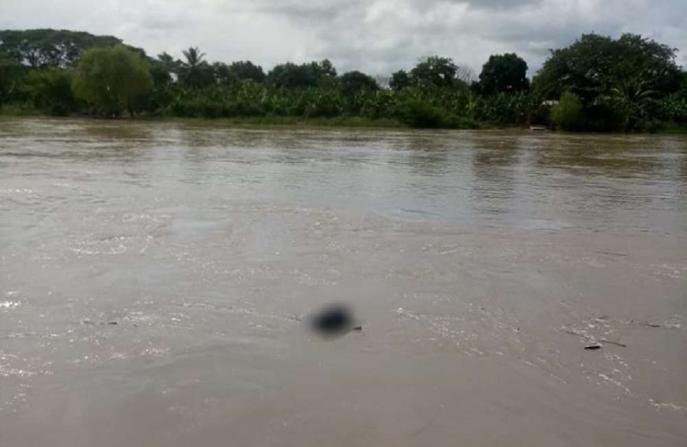 Hallan cadáver de un hombre en el río Cauca en Caucasia