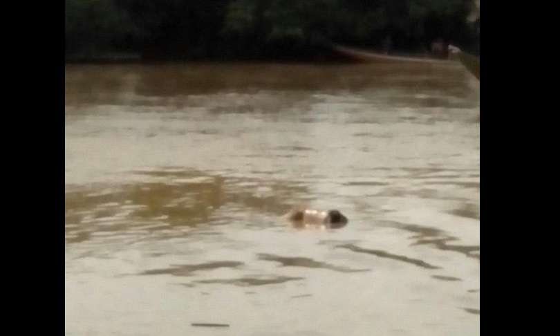 Hallan cadáver de un joven en el río Sinú en Montería