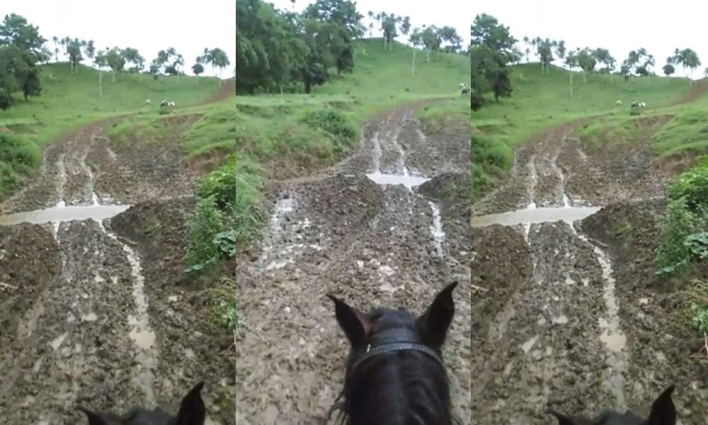 ¡No aguantan más! Habitantes de Loma Verde sufren estragos por pésimo estado de la vía