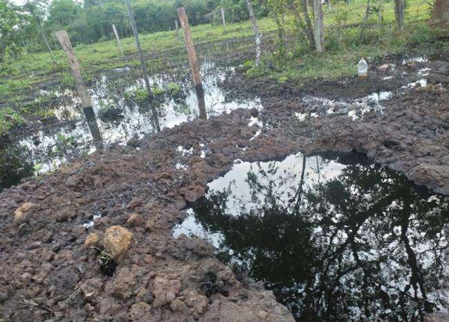 Nuevamente atentan con explosivos contra oleoducto Caño Limón-Coveñas en Arauca