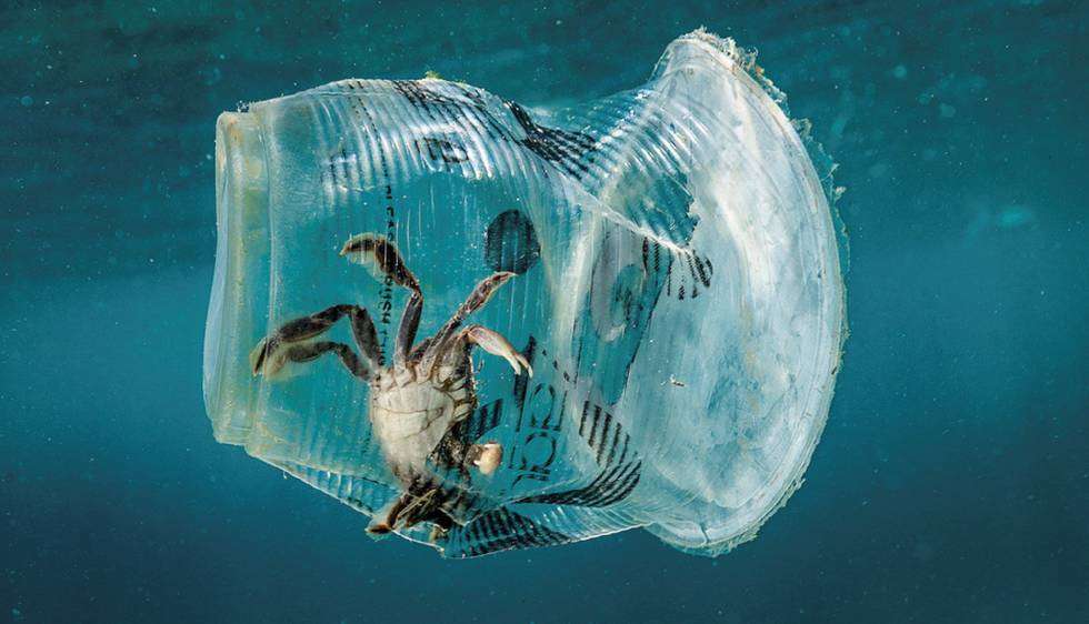 Quienes usen plástico en parques naturales serán sancionados