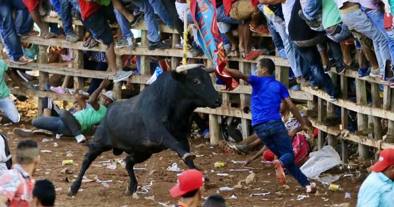 Suspenden fiestas de corraleja en Corozal por riesgos en la estructura