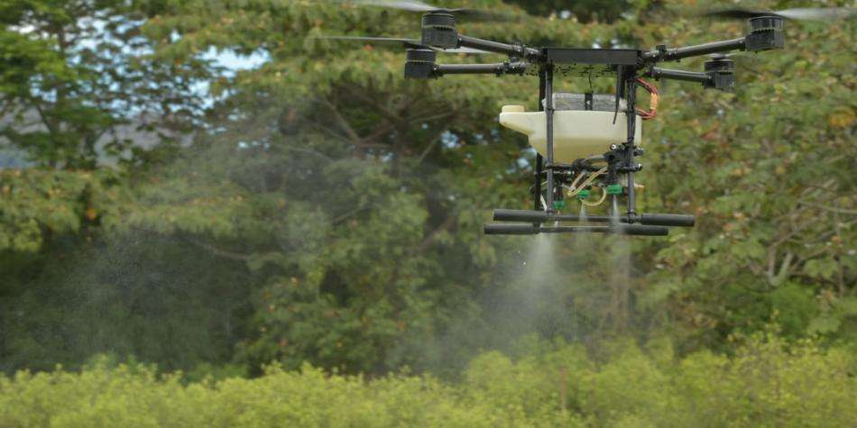 Campesinos de Córdoba se oponen a erradicación de cultivos de coca con glifosato