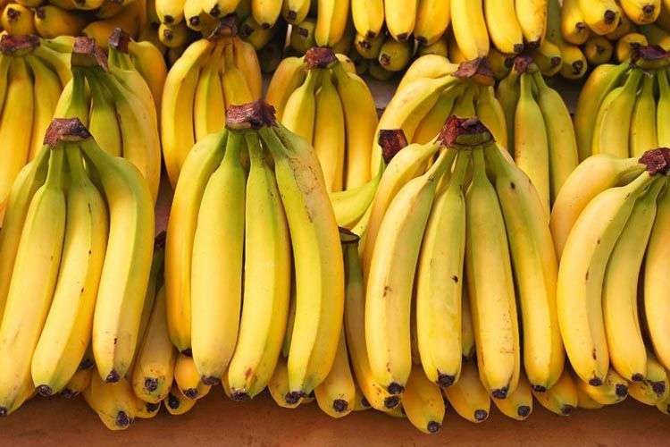 Presencia de hongo en cultivos de banano tiene en alerta al gremio y a las autoridades