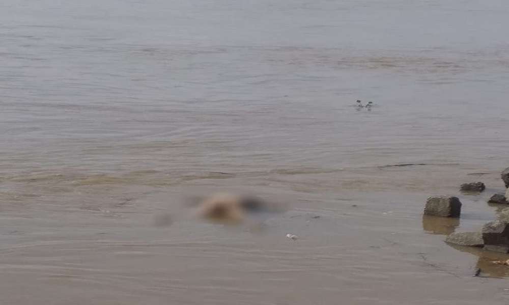 Hallan cadáver de un hombre flotando en el río Cauca