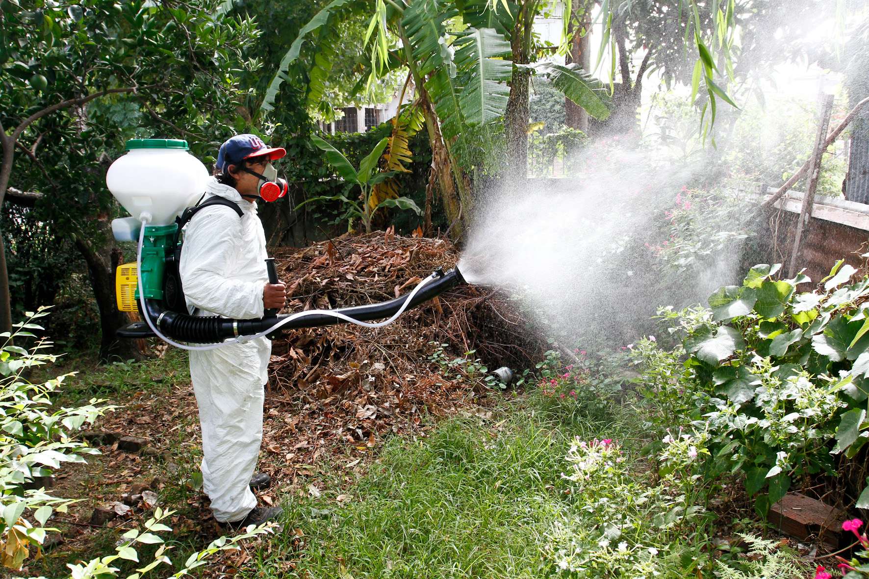 Córdoba entre los primeros 10 departamentos del país con mayor casos de Dengue
