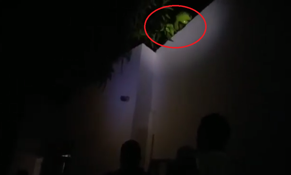 Video: lo pillaron robando y no se quería bajar del techo por miedo a ser linchado en Montería