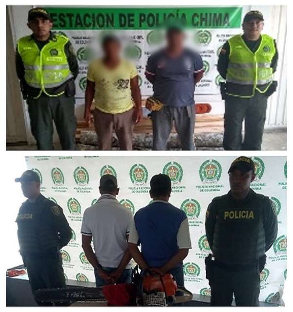 Capturan a cuatro hombres por ilícito aprovechamiento de los recursos naturales en Córdoba