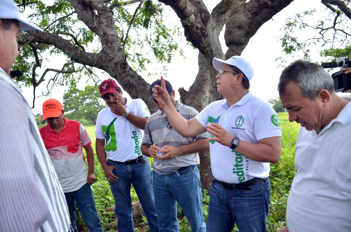 Unicor en alianza con el sector productivo y particulares, ejecutarán proyecto integral a partir del marañón