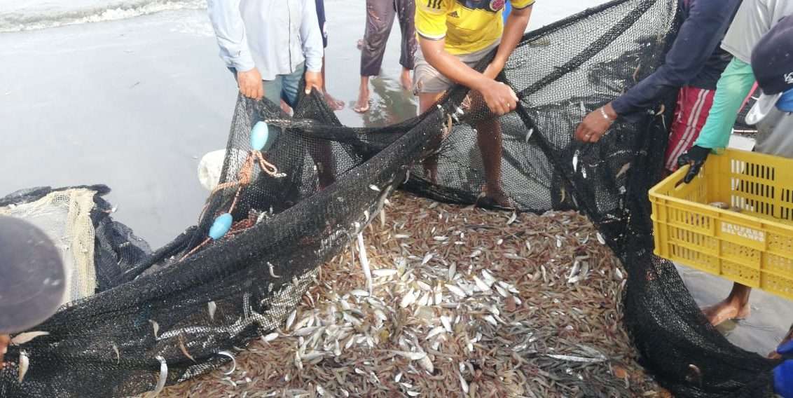 ¡A mil pesos la libra! En la costa cordobesa hubo una milagrosa subienda de camarones