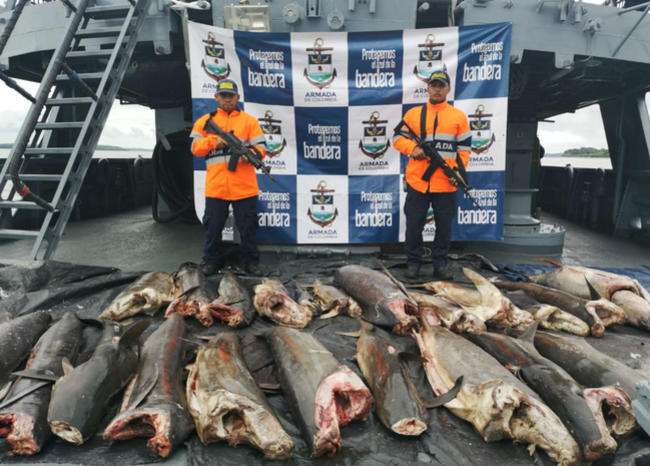 Capturan a tres sujetos por pesca ilegal cerca a la isla Malpelo, dos de ellos son ecuatorianos