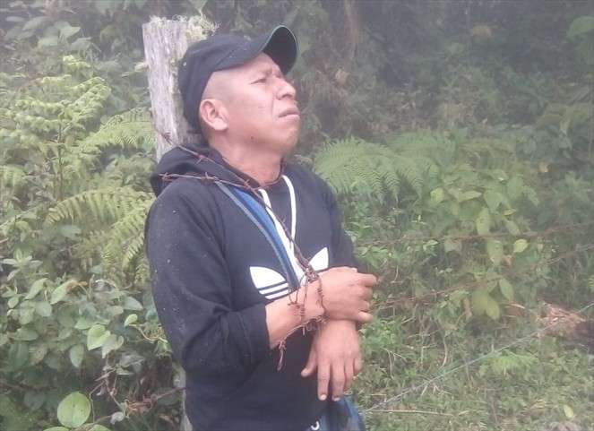 Inhumano: torturado y amarrado con alambres de púas fue encontrado líder indígena en Cauca