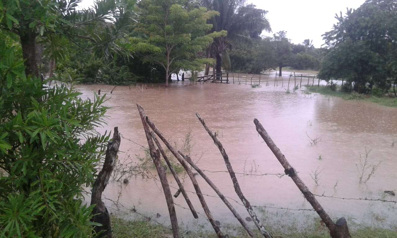 Se desbordó el caño Fajardo: fuertes lluvias generaron emergencia en San Bernardo del Viento