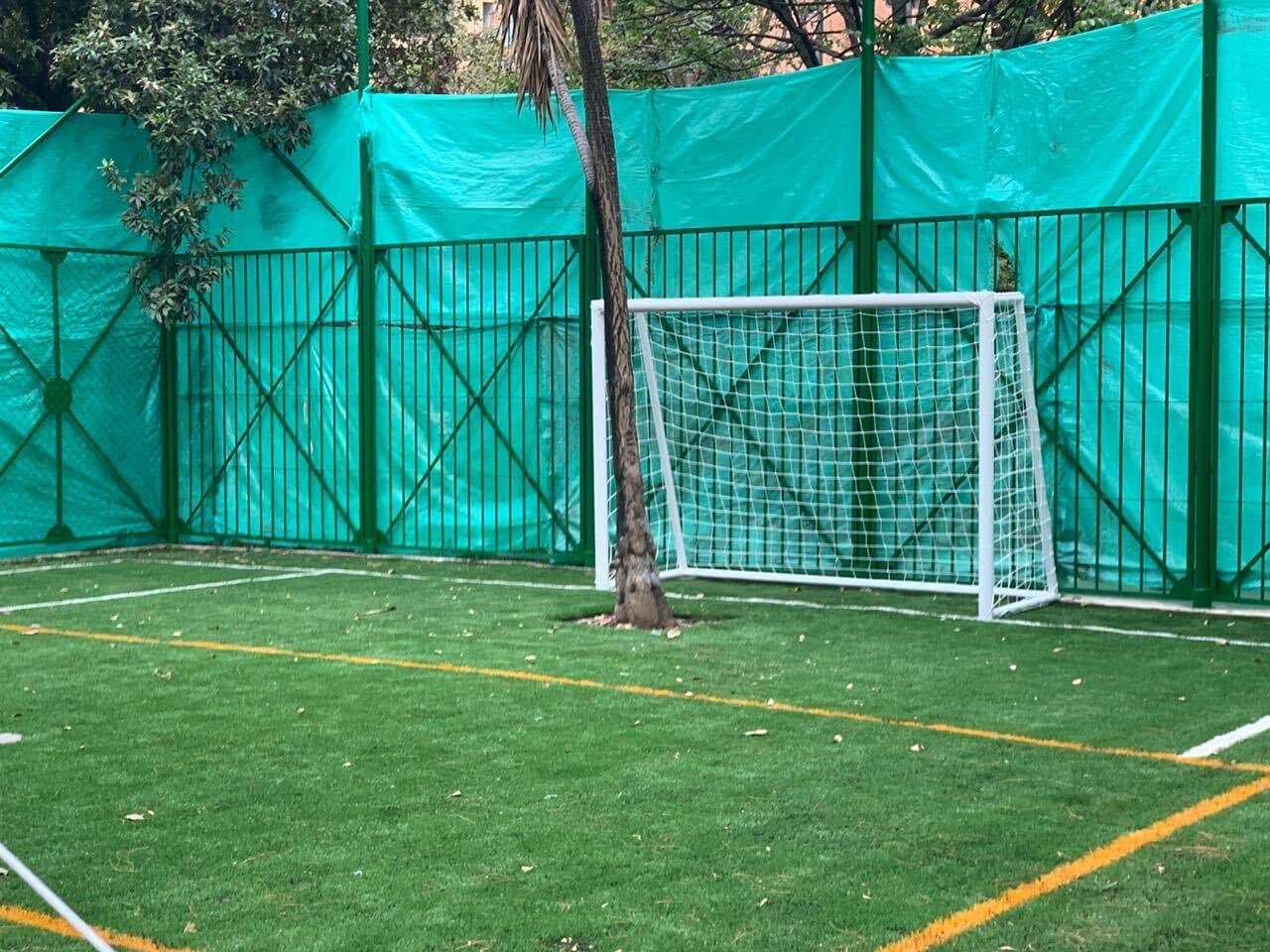 ‘Tronco’ de portero: árboles no fueron talados y quedaron en la mitad de una cancha sintética