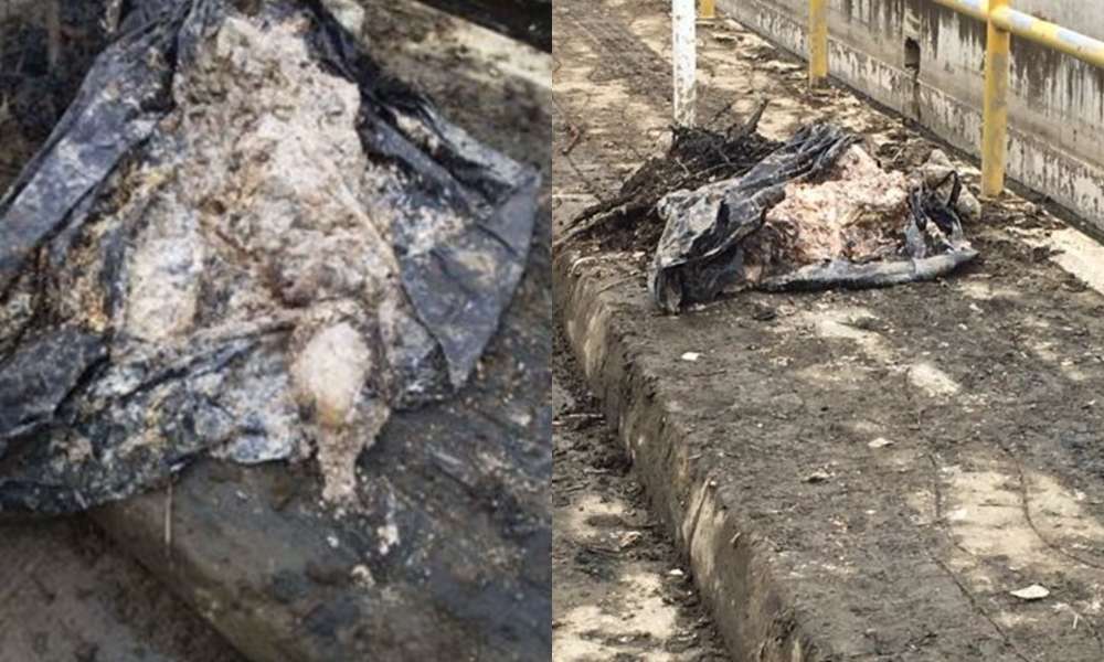 Escabroso, hallan restos humanos por la Terminal de Transportes de Montería