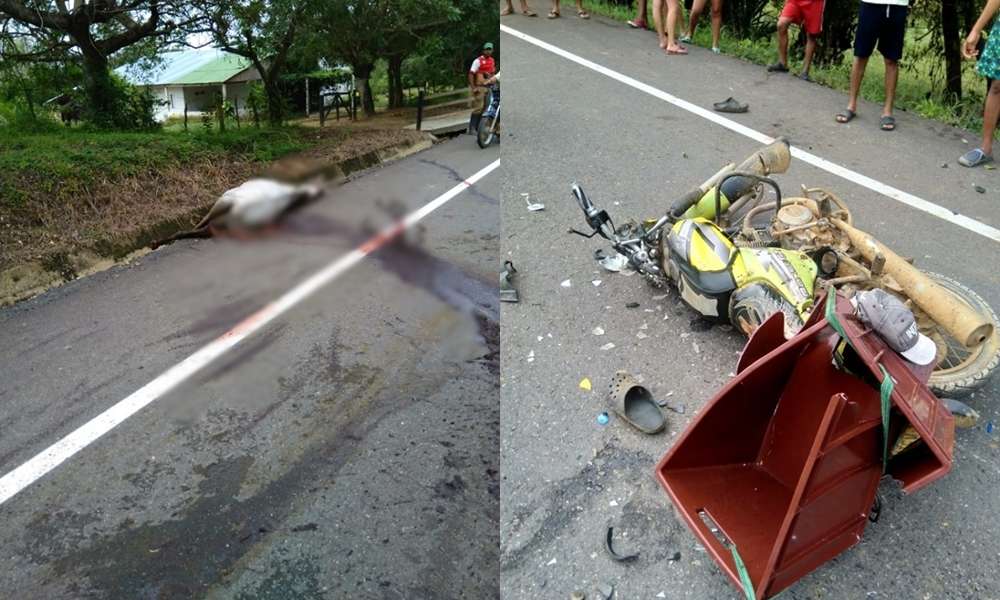 Motociclista chocó contra un caballo en la vía Sahagún – San Marcos