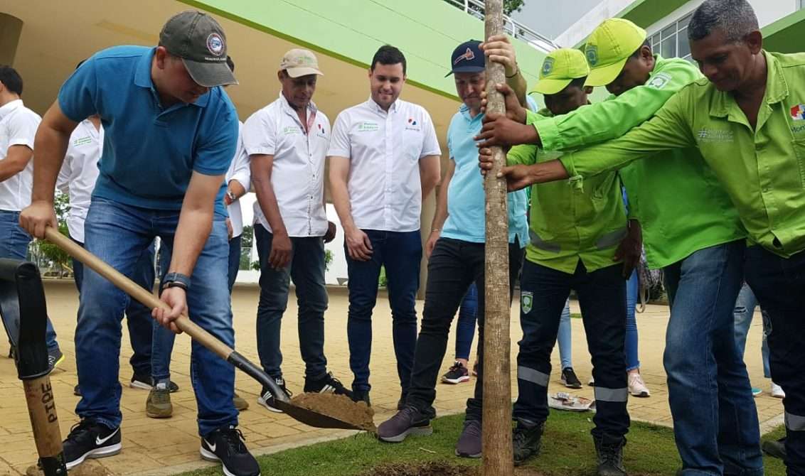 Se logró la meta, en Montería se sembraron 100 mil árboles