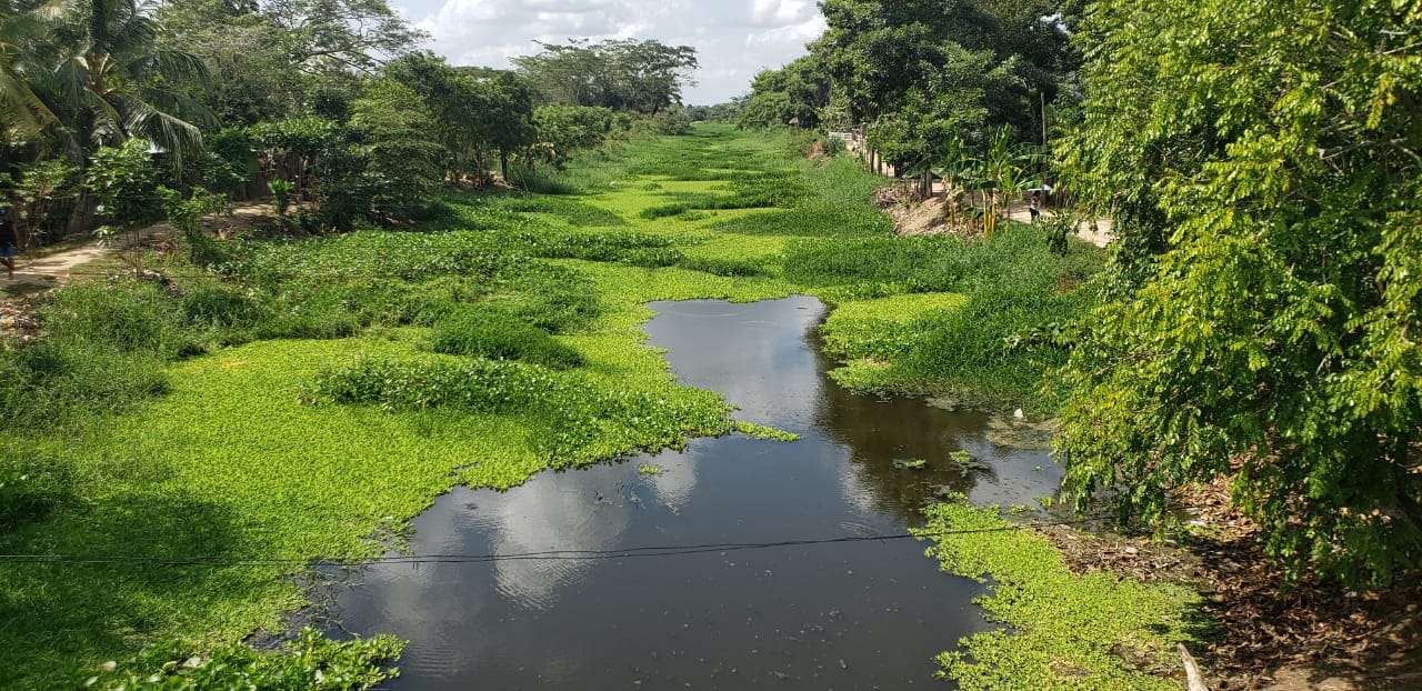 Para prevenir inundaciones, adecuarán sección hidráulica del Caño de Aguas Prietas en San Carlos