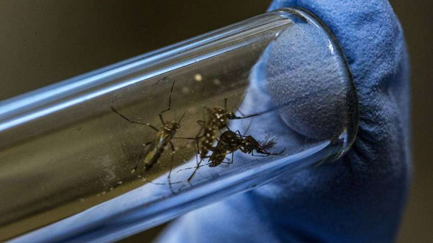 Más de 4.600 casos de dengue se registraron en Córdoba durante el 2019