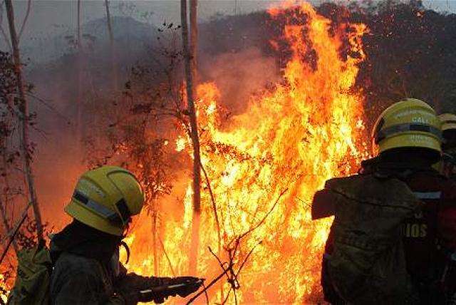 Alerta roja en 17 municipios de Córdoba por incendios forestales: IDEAM