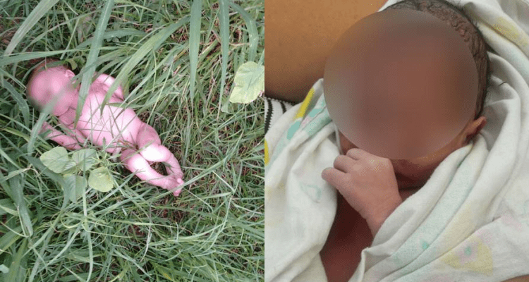 Bebé recién nacida murió tras ser abandonada, los gusanos se le comieron los ojos