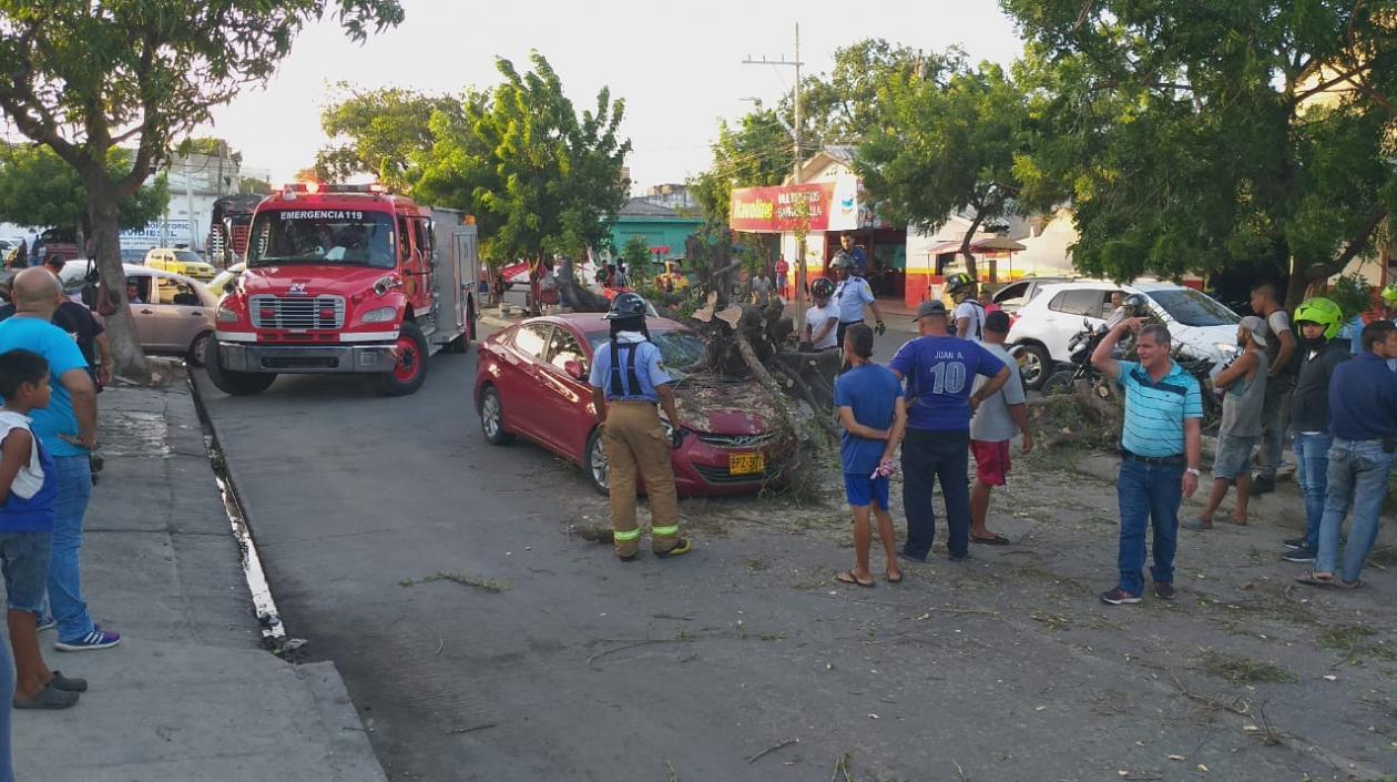 Fuerte brisa tumbó árbol que terminó cayendo sobre un carro