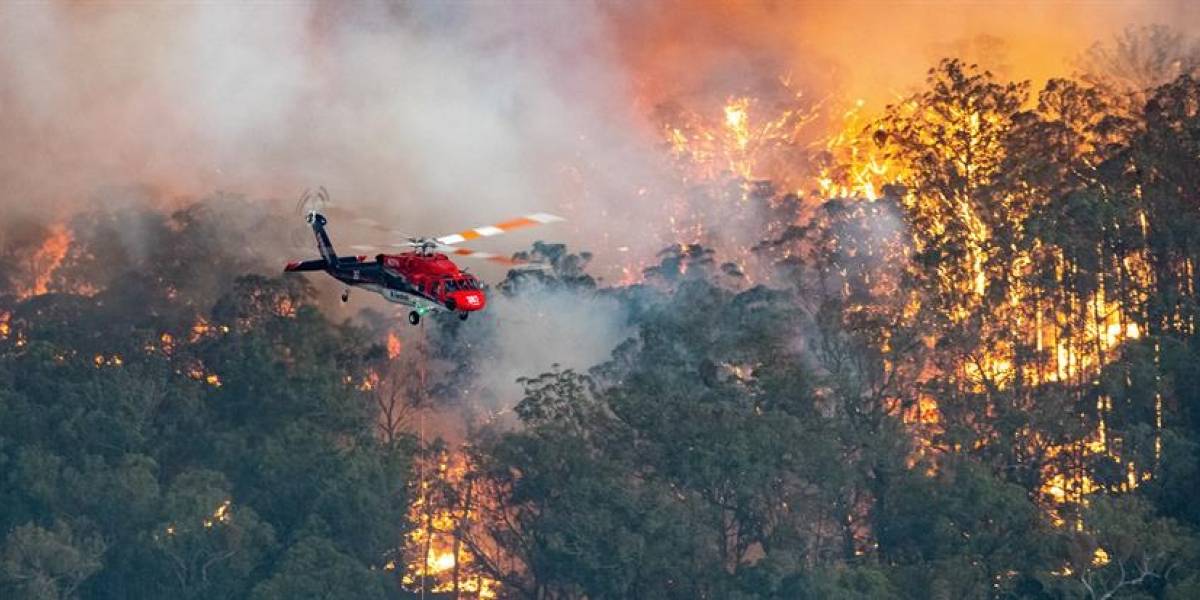 Ya son 29 los muertos en Australia por incendios forestales