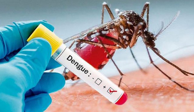 Hasta en un 49% disminuyeron los casos de dengue en Córdoba