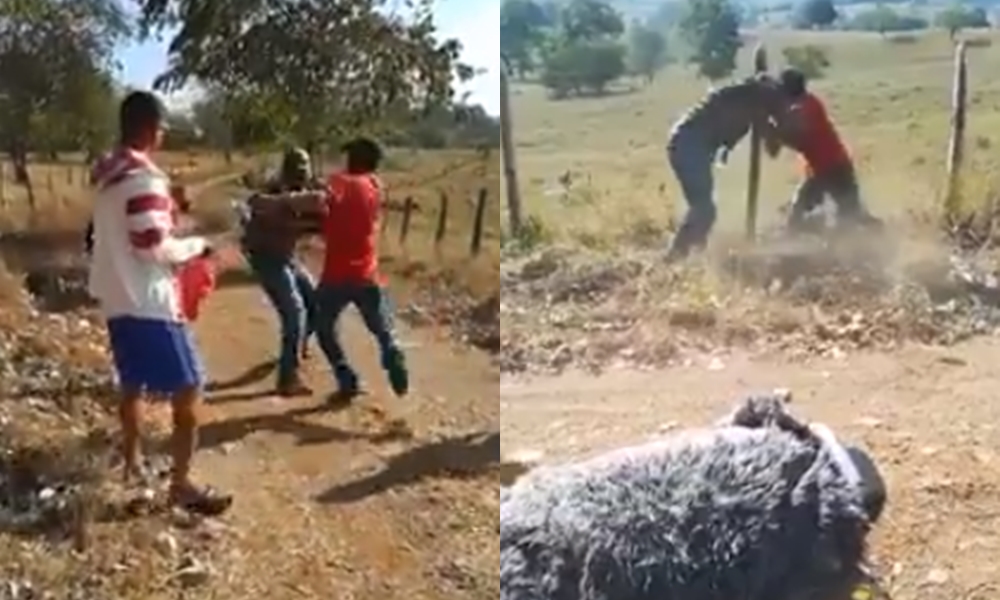 En video, con el brazo fracturado quedó hombre que protagonizó riña en Lorica